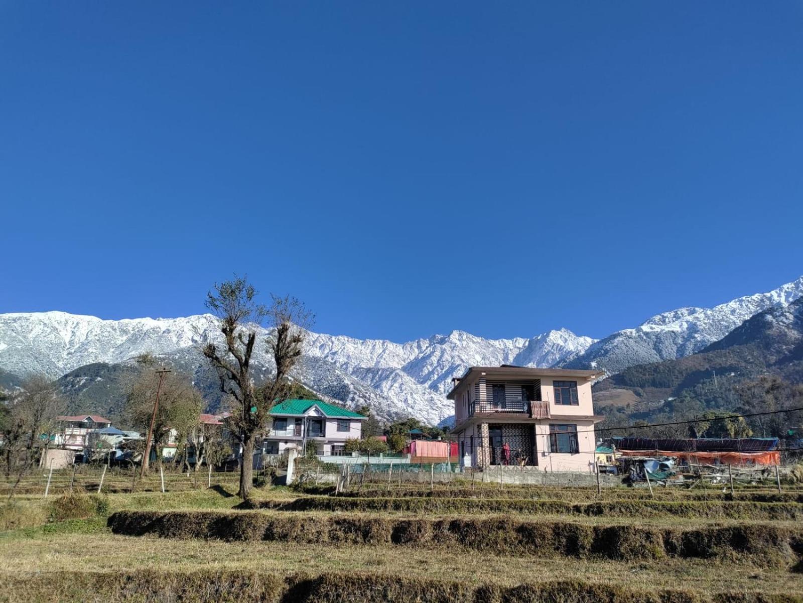 Homestay Palampur View Exterior photo