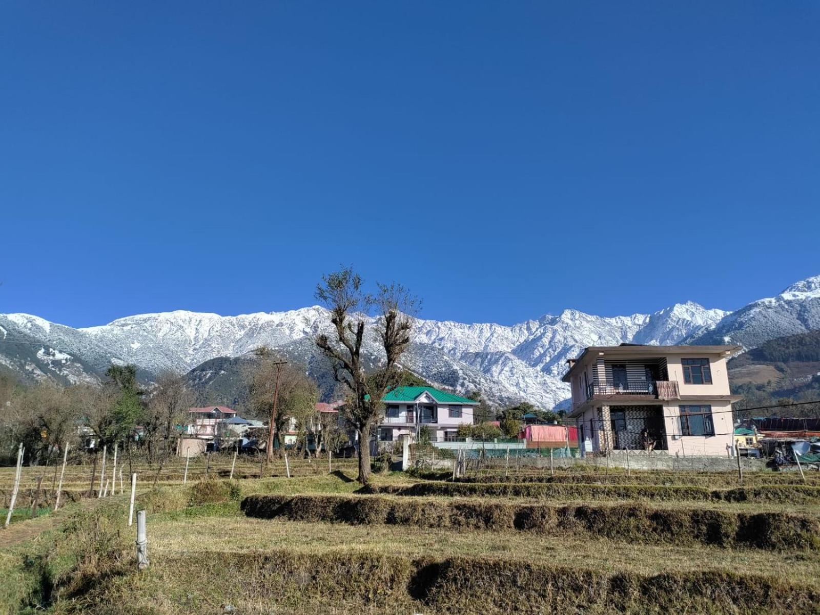 Homestay Palampur View Exterior photo